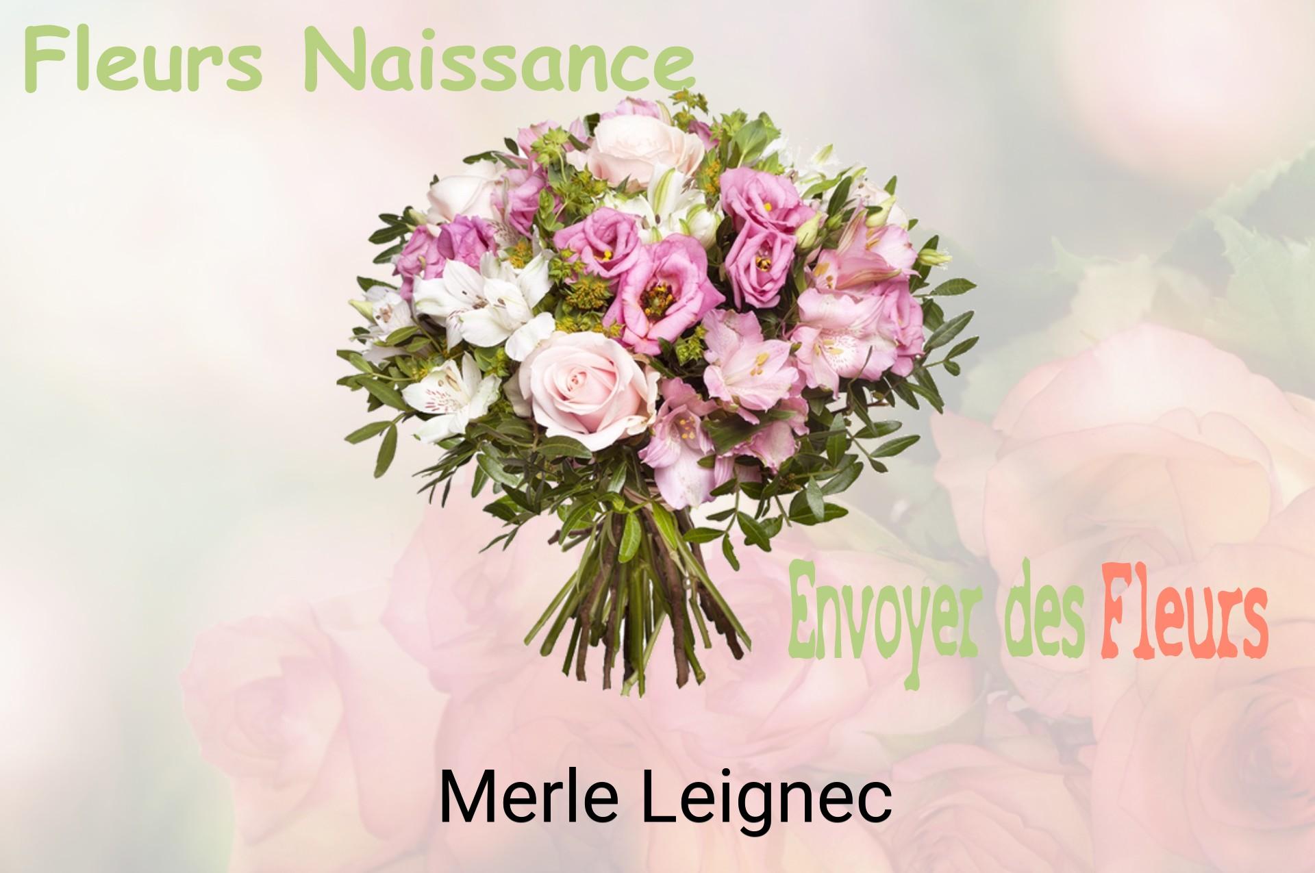 Bouquet de fleurs de naissance livré à Merle-Leignec